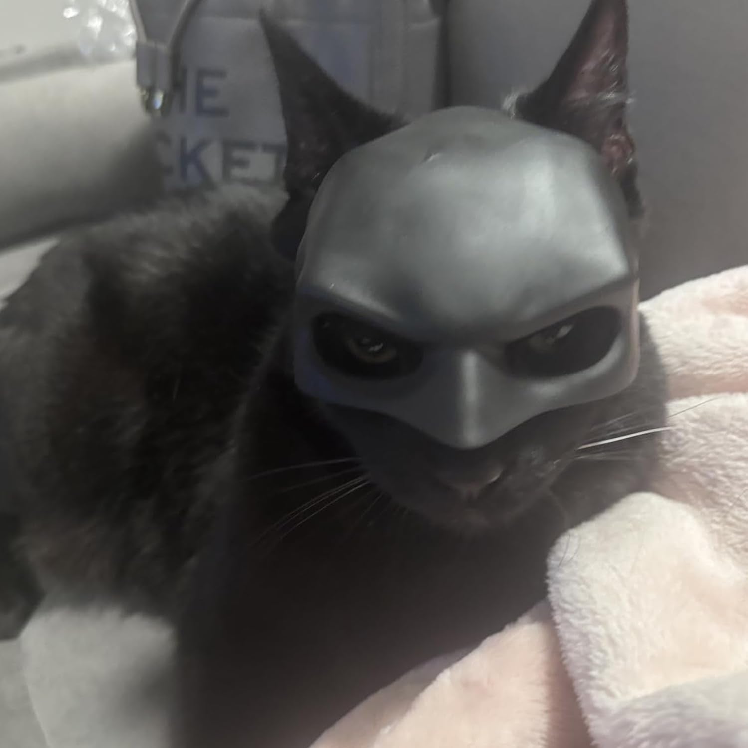 Glam Bat Cat Mask Cosplay, Cat Halloween Costumes, Funny Cat Costumes Accessories