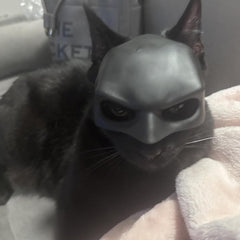 Glam Bat Cat Mask Cosplay, Cat Halloween Costumes, Funny Cat Costumes Accessories