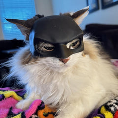 Glam Bat Cat Mask Cosplay, Cat Halloween Costumes, Funny Cat Costumes Accessories