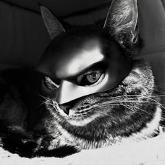 Glam Bat Cat Mask Cosplay, Cat Halloween Costumes, Funny Cat Costumes Accessories