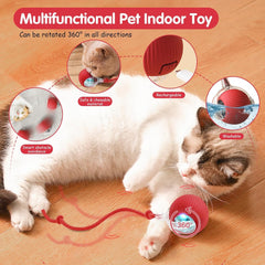 Interactive Dog Cat Ball Toy: 1Pcs Automatic Smart Teasing Pet Ball for Dog Cat, Fun Indoor Active Self Rolling Bouncing Ball Pet Toy, Electric 360° Rotating Moving Smart Ball for Dog/Cat Pet (Blue)