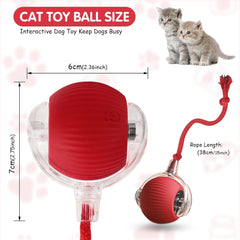 Interactive Dog Cat Ball Toy: 1Pcs Automatic Smart Teasing Pet Ball for Dog Cat, Fun Indoor Active Self Rolling Bouncing Ball Pet Toy, Electric 360° Rotating Moving Smart Ball for Dog/Cat Pet (Blue)