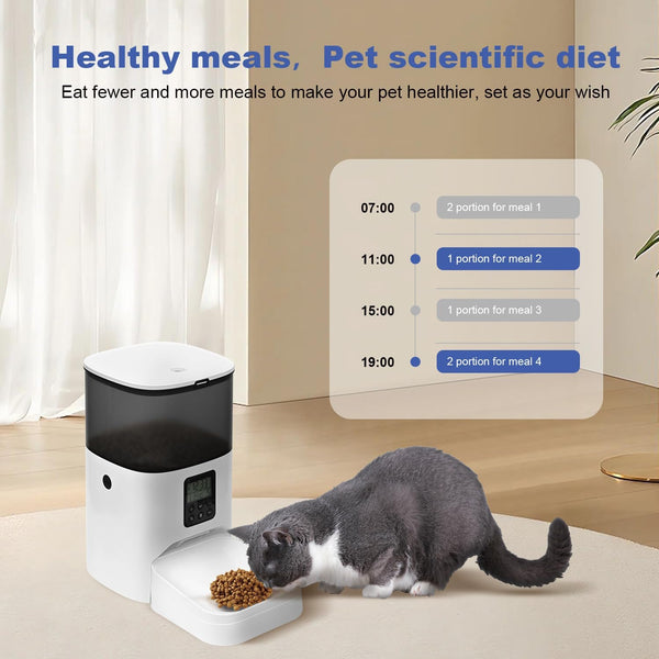 Glam Automatic Cat Feeder, 4L Cat Food Dispenser with 10S Voice Recorder